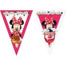 fanions  anniversaire thème Minnie Mouse